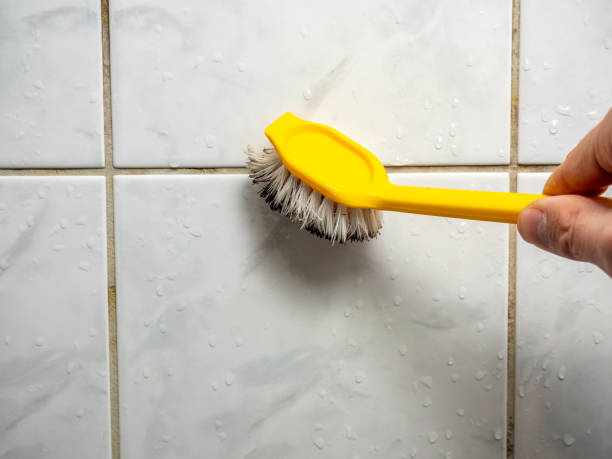 Best DIY Mold Remediation Support Services in Coweta, OK
