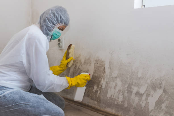 Best Crawl Space Mold Remediation in Coweta, OK
