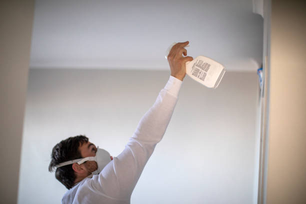 Best Insurance-Related Mold Remediation in Coweta, OK