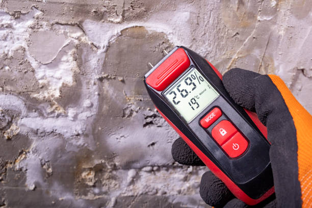 Best HVAC Mold Remediation in Coweta, OK