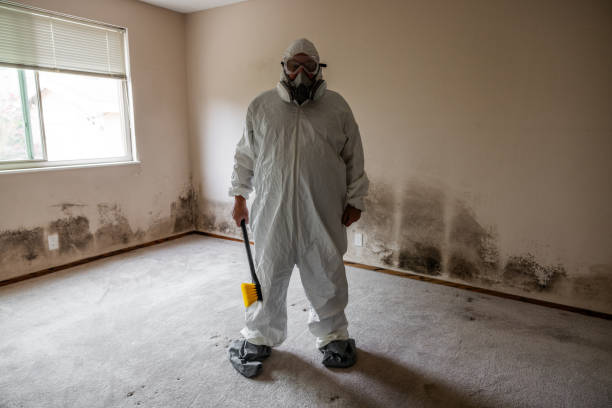 Reliable Coweta, OK Mold Remediation Solutions